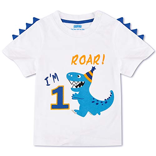 AMZTM Dinosaur Birthday T Shirt 1st Birthday Party 0 belly baby and beyond