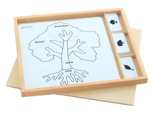 Montessori Botany Puzzle Activity Set 0 belly baby and beyond