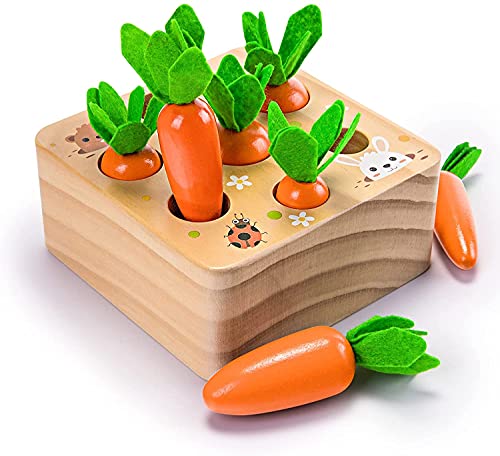 Ancaixin Montessori Toys for Babies 6 12 Months Wooden Toys for 1 Year Old Boys and Girls Educational Carrot Harvest Toy for Toddlers Shape Sorting Matching Puzzle Developmental Birthday Gifts 0 belly baby and beyond