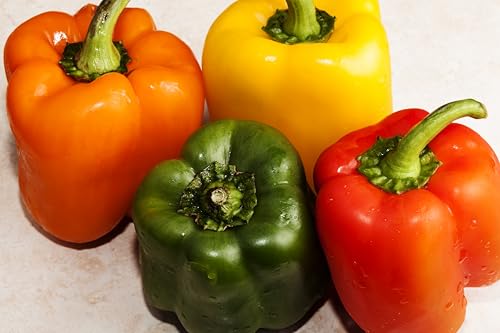 Fresh Organic Rainbow Bell Peppers Red Yellow Orange and Green by RawJoy Farms 0 belly baby and beyond