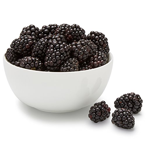 Organic Blackberries 6 oz 0 belly baby and beyond