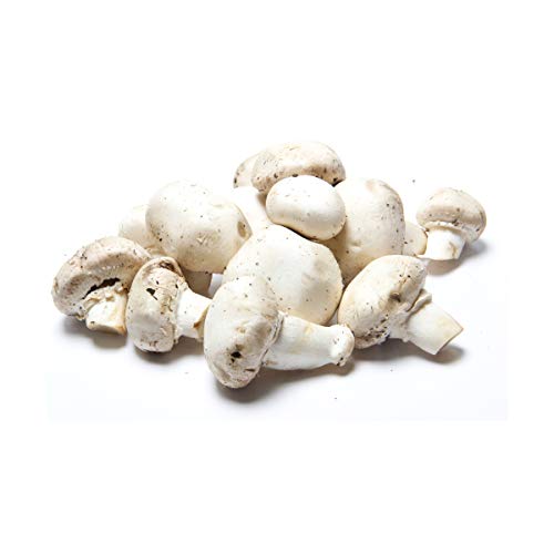 PRODUCE Organic White Mushrooms 8 Ounce 0 belly baby and beyond