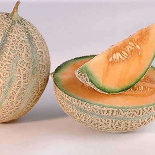 Planters Jumbo Cantaloupe Melon Seeds 100 Count Seed Pack Non GMO A Firm Great Tasting Cantaloupe with Thick deep Orange Flesh Country Creek LLC 0 belly baby and beyond