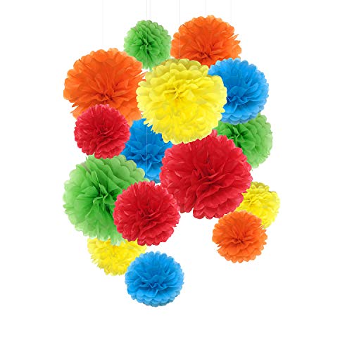 Tissue Paper Pom Poms Paper Flowers for Wedding Birthday Celebration Party Decorations and Outdoor Decor 15 Pcs of 81014 Inch Rainbow 0 belly baby and beyond