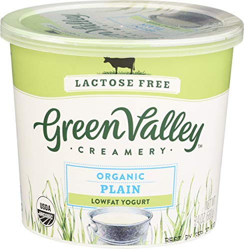 Green Valley Lactose Free Organic Lowfat Plain Yogurt 24 Ounce 0 belly baby and beyond